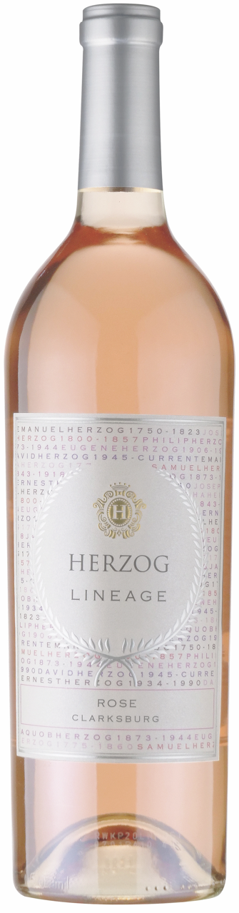 Herzog Lineage Rose
