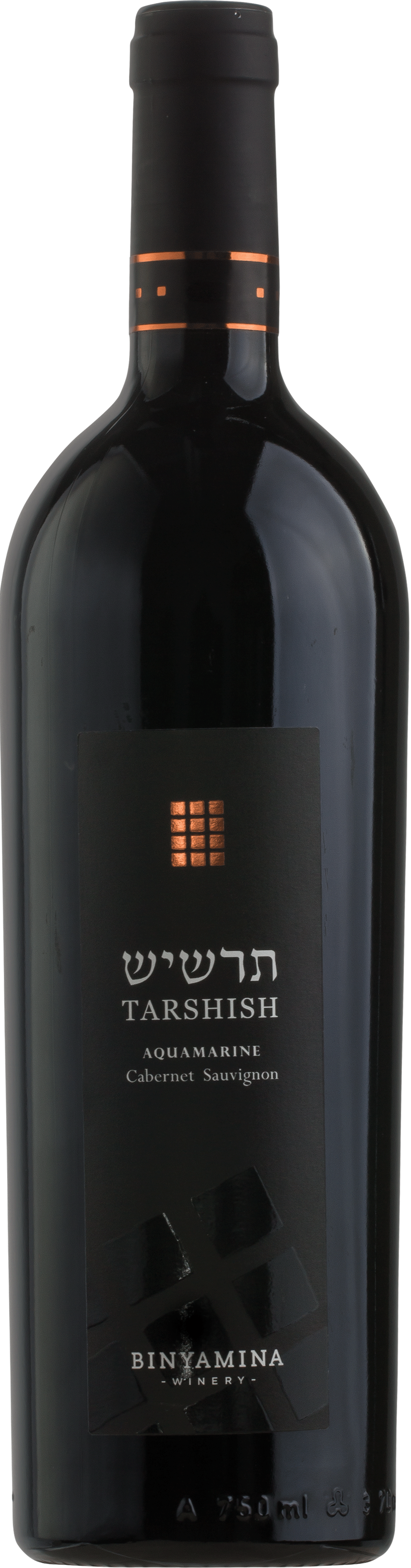 Binyamina Chosen Tarshish