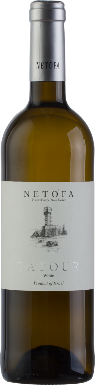 Netofa Latour White