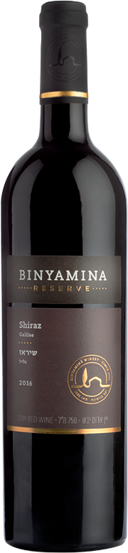 Binyamina Reserve Shiraz