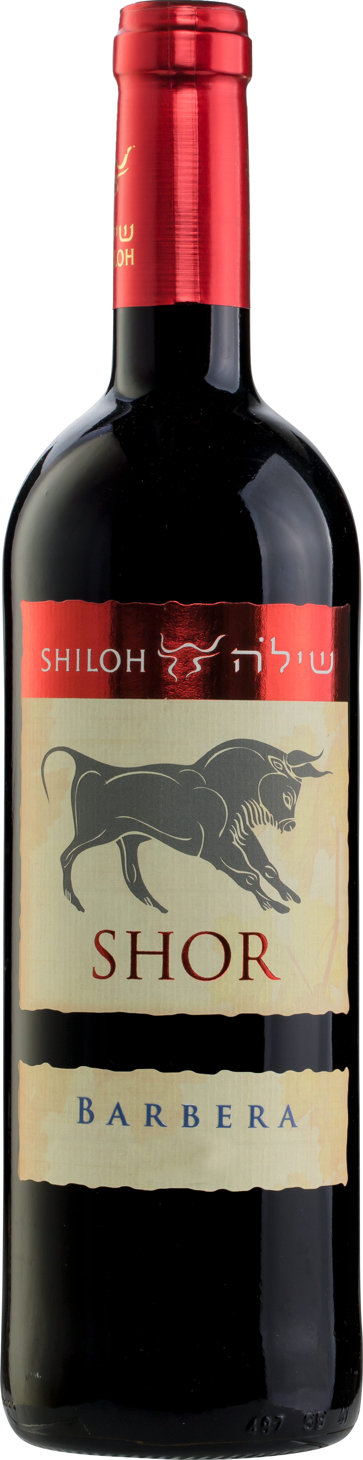 Shiloh Shor Barbera