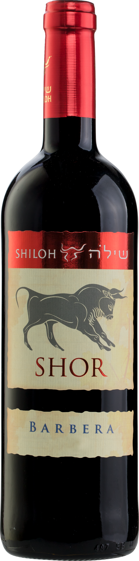 Shiloh Shor Barbera