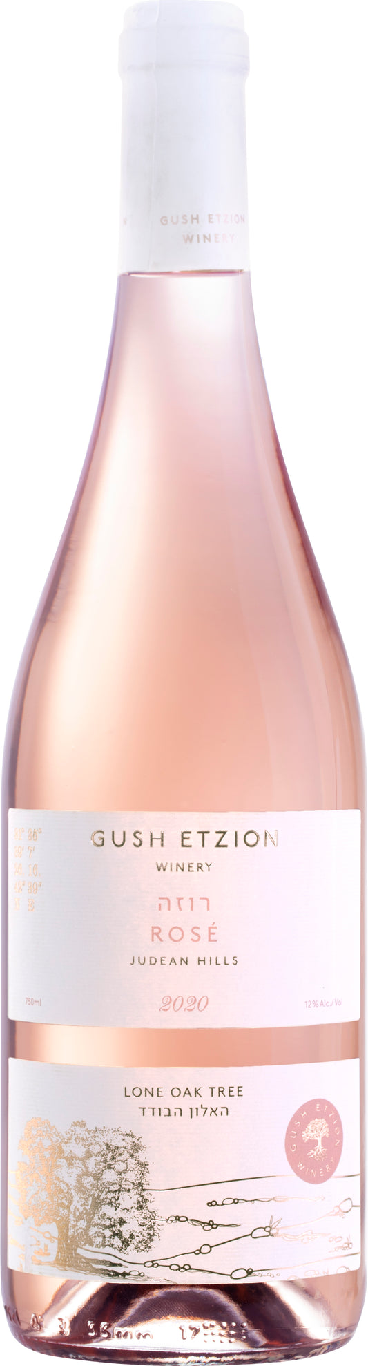 Gush Etzion Lone Oak Rose