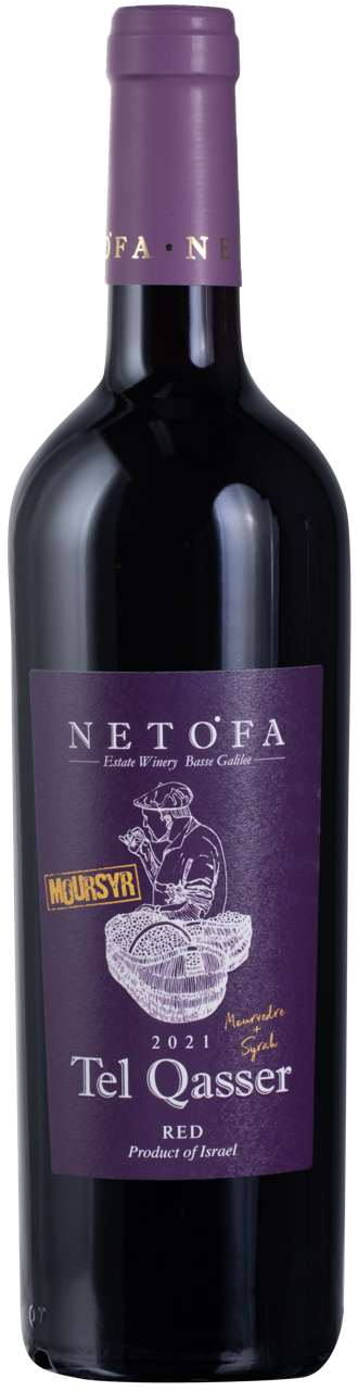 Netofa Tel Qasser Moursyr