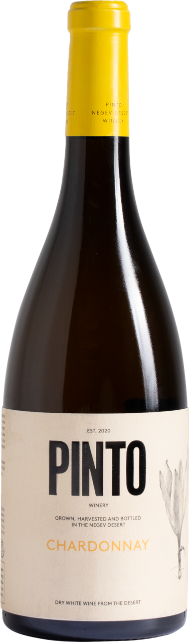 Pinto Chardonnay