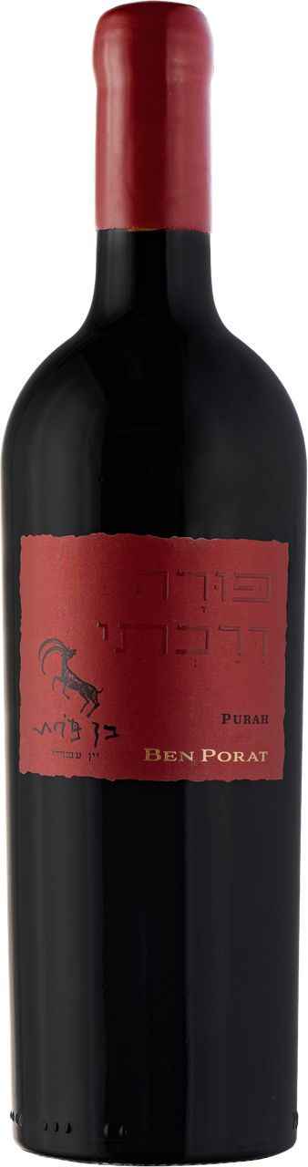 Ben Porat Pura